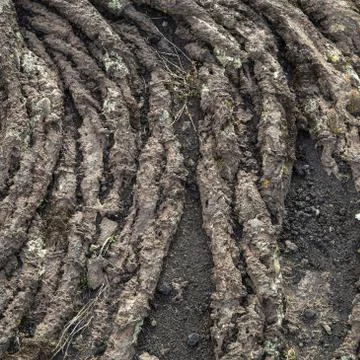 Volcanic background or texture Foto stock