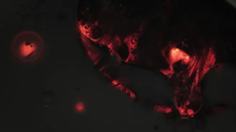 Volcanic background paint floating droplet neon Stock Footage 316899865
