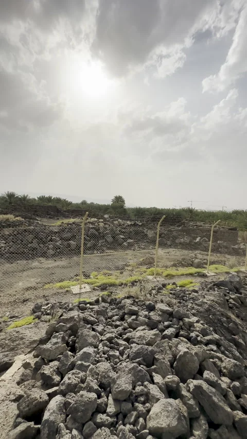 Volcanic Basalt Rock Field and Lush Palm Grove Oasis Vídeo Stock 329329197