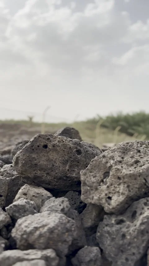 Volcanic Basalt Rocks and Lush Palm Grove Oasis Vídeo Stock 329329076