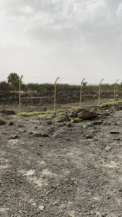Volcanic Basalt Rocks and Palm Oasis Vídeo Stock 329327199