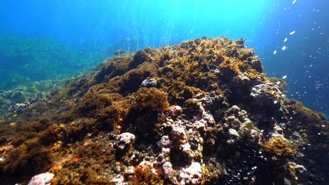 Volcanic bubbles coming up Stock Footage 127939202