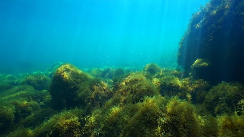Volcanic bubbles in the seabed Vidéo 127938377