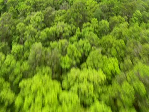 Volcanic Caldera Stock-Footage 22242757