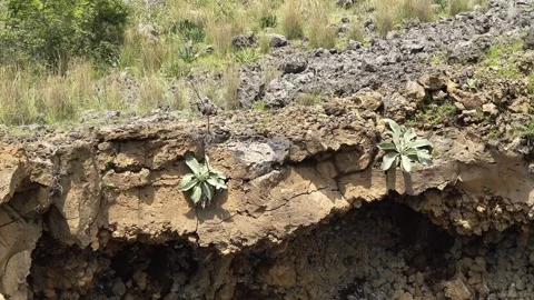 Volcanic cave ceiling shows porous basalt rocks - Subterranean and Rock Chamber Stock Footage 339409054