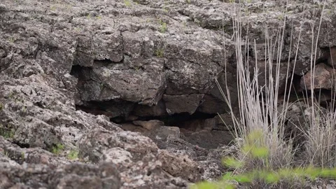 Volcanic cave ceiling shows porous basalt rocks - Igneous Cave and Rock Chamber Stock Footage 339409471