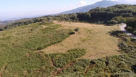Volcanic countryside, wolves observation Stock Footage 112331918