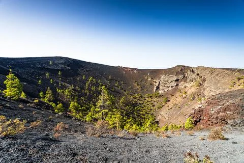Volcanic crater cone with pine trees growing inside San Antonio Volcano, La.. Stock Photos