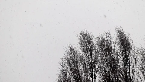 Volcanic dust after a volcanic eruption is showered in the form of flakes. Flake Stock Footage 102906850