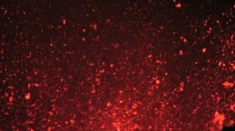Volcanic eruption close up Stock Footage 35936929