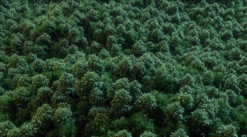 Volcanic Eruption 스톡 동영상 26145482