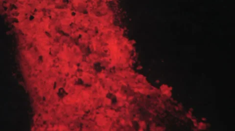 Volcanic eruption lava stream Stock Footage 35936584