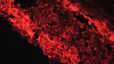 Volcanic eruption lava stream Stock Footage 35937534