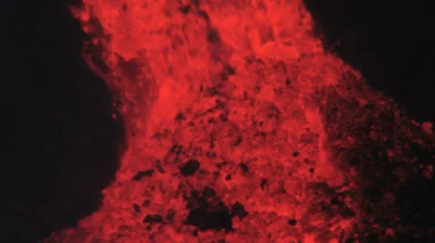 Volcanic eruption lava stream Stock Footage 35937736