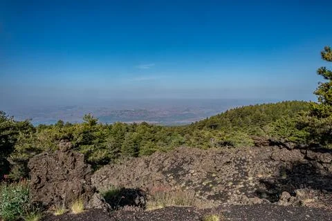 Volcanic Forest View Foto stock