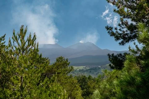 Volcanic Forest View Stock Photos