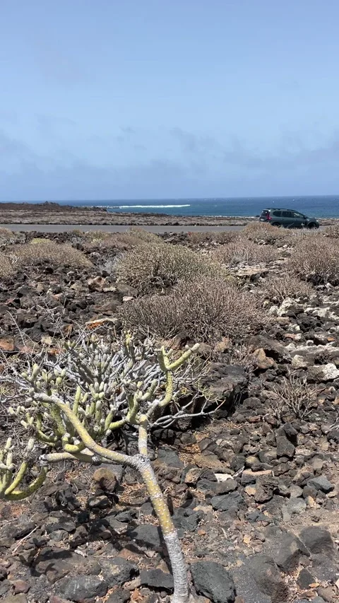 Volcanic landscape with beach 9x16 Stock Footage 281077786