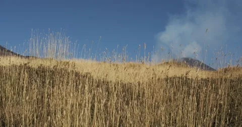 Volcanic landscape 스톡 동영상 149940001