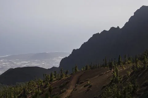 Volcanic landscape with pine trees overlooking the atlantic ocean Stock Photos