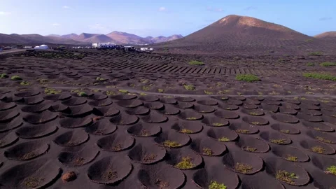 Volcanic Lanzarote islands. vineyardsof la Geria village.aerial drone video Stock Footage 237471524