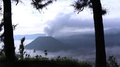 Volcanic Mountain Framed by The Trees Stock Photos