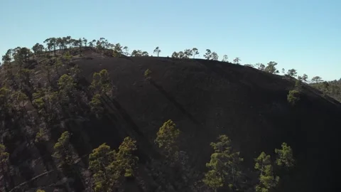 Volcanic mountain with pine tress (2). Aerial view. Drone footage. 스톡 동영상 158498833