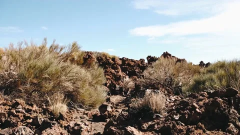 Volcanic nature landscape  Stock Footage 170254518