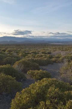 Volcanic Fotos de archivo