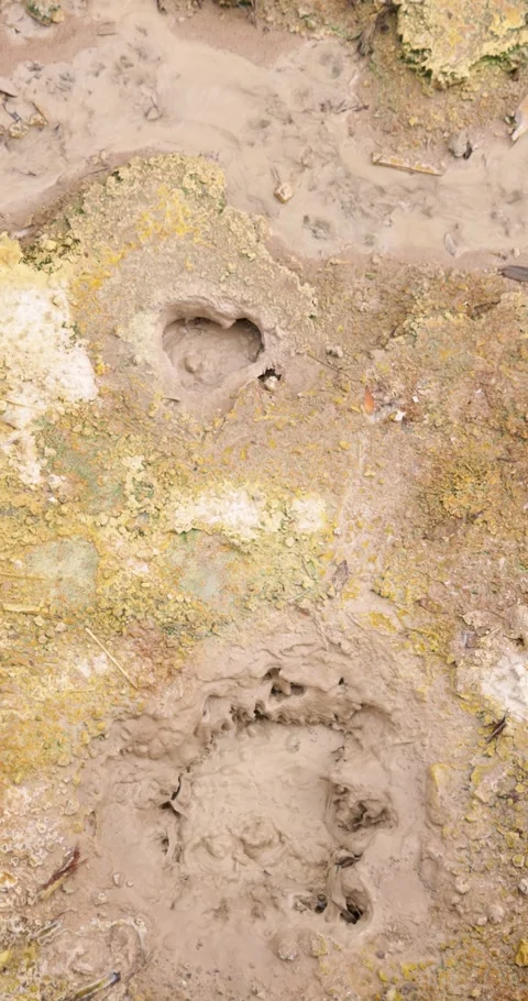 Volcanic pit with mud and boiling water with steam rising to the surface in.. Stock Footage 329618387