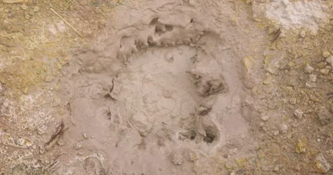 Volcanic pit with mud and boiling water with steam rising to the surface in.. Stock Footage 330414770