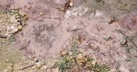 Volcanic pit with mud and boiling water with steam rising to the surface in.. Stock Footage 335026900