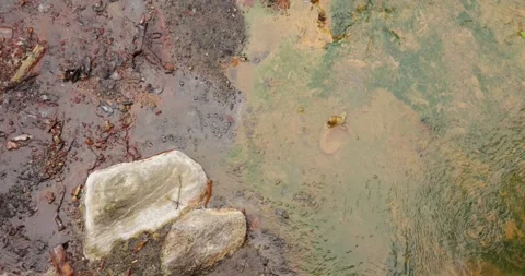 Volcanic pit with mud and boiling water with steam rising to the surface in.. Stock Footage 335029443