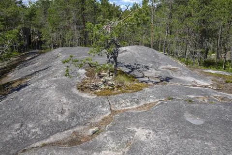 Volcanic rock in the forest landscape, Koyonsaari Island. Republic of Karelia Stock Photos