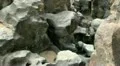 Volcanic Rock Formation 06 Fossil Falls California HD Footage