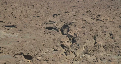 Volcanic Rock From Lava Flow in Eastern Africa Stock Footage 144976966