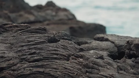 Volcanic rock with ocean waves in background Stock Footage 319467900