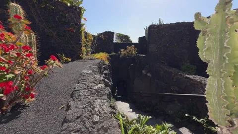 Volcanic rock path with red flowers in Haria, Spain. First person view Vídeos de archivo 336657699