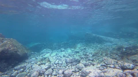 Volcanic Rock Seabed Stock Footage 330885487