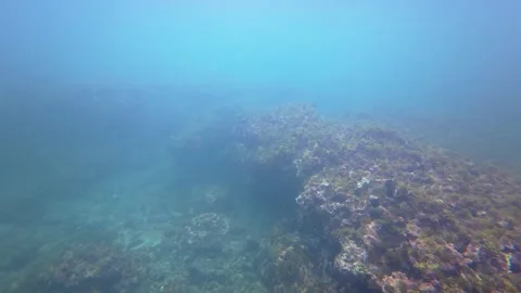 Volcanic Rock Seabed Stock Footage 331213352