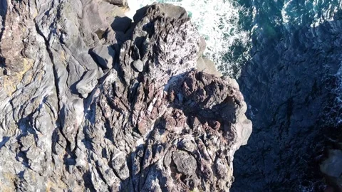 Volcanic Rock Texture and Plants Top Down Aerial 4K Stock Footage 329059918