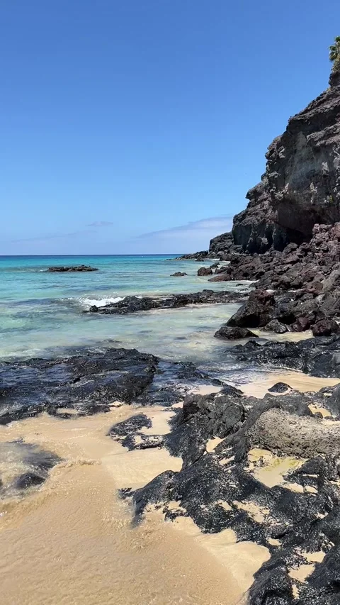 Volcanic rocks beach ocean pan turquoise clear water Fuerteventura HD vertical Stock Footage 342028810