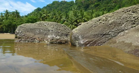 Volcanic Rocks In Gentle Tide Waves On Sandy Beach And Lush Rainforest Hills Stock-Footage 138018011