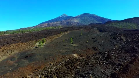 Volcanic scenery with the teide in the background Stock Footage 138817830