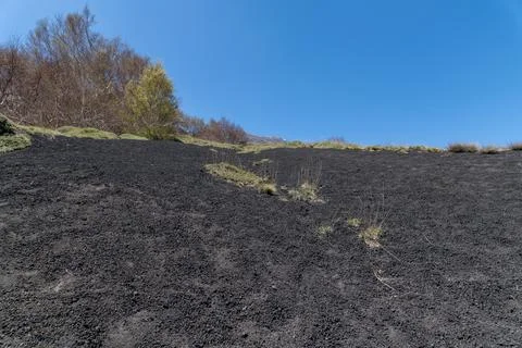 Volcanic slope with sparse grass and blue sky 库存照片