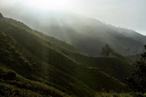 Volcanic slope at sunrise at Java island Indonesia Fotos de archivo