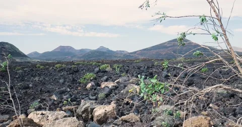 Volcanic soil and mountains characterize the arid landscape of lanzarote Stock Footage 293943029