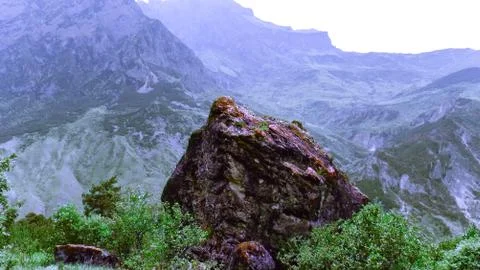Volcanic stone. Stock Photos