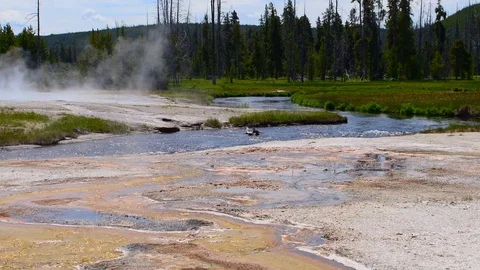 Volcanic stream going into a river Stock Footage 128160407