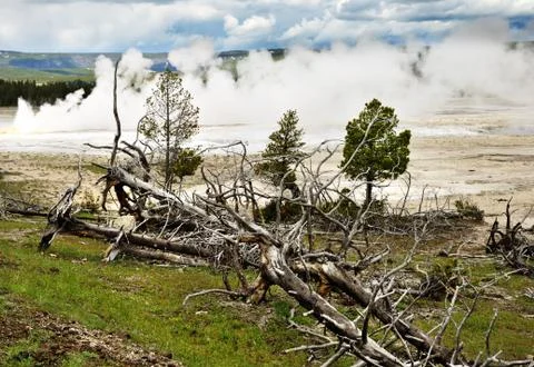 Volcanic valley Stock Photos