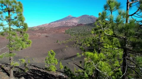 Volcano aerial pull back through trees Stock-Footage 231780060